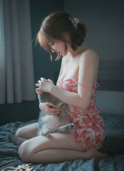 犬之岛
