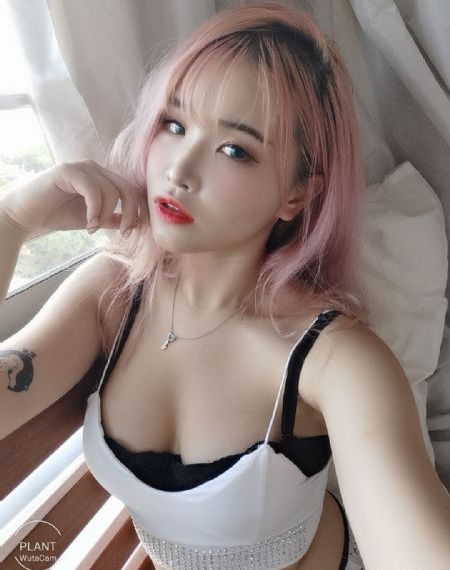 最新电影免费在线观看