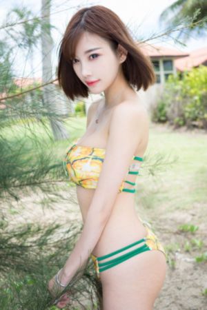 汪汪队立大功动画片全集
