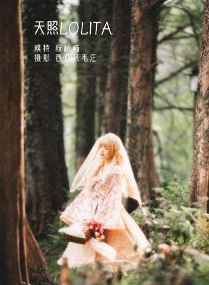 完美世界合集篇在线观看