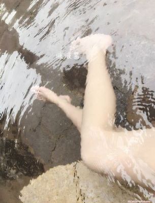 枫与铃动漫观看
