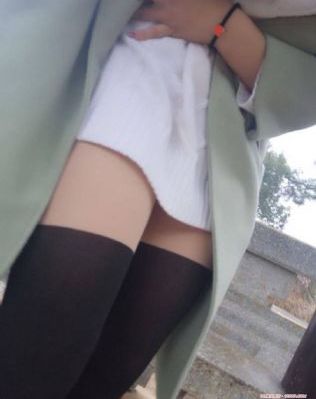 loveme枫与铃樱花动漫